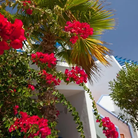 Grupotel Cinco Plazas Apartment Puerto del Carmen (Lanzarote)